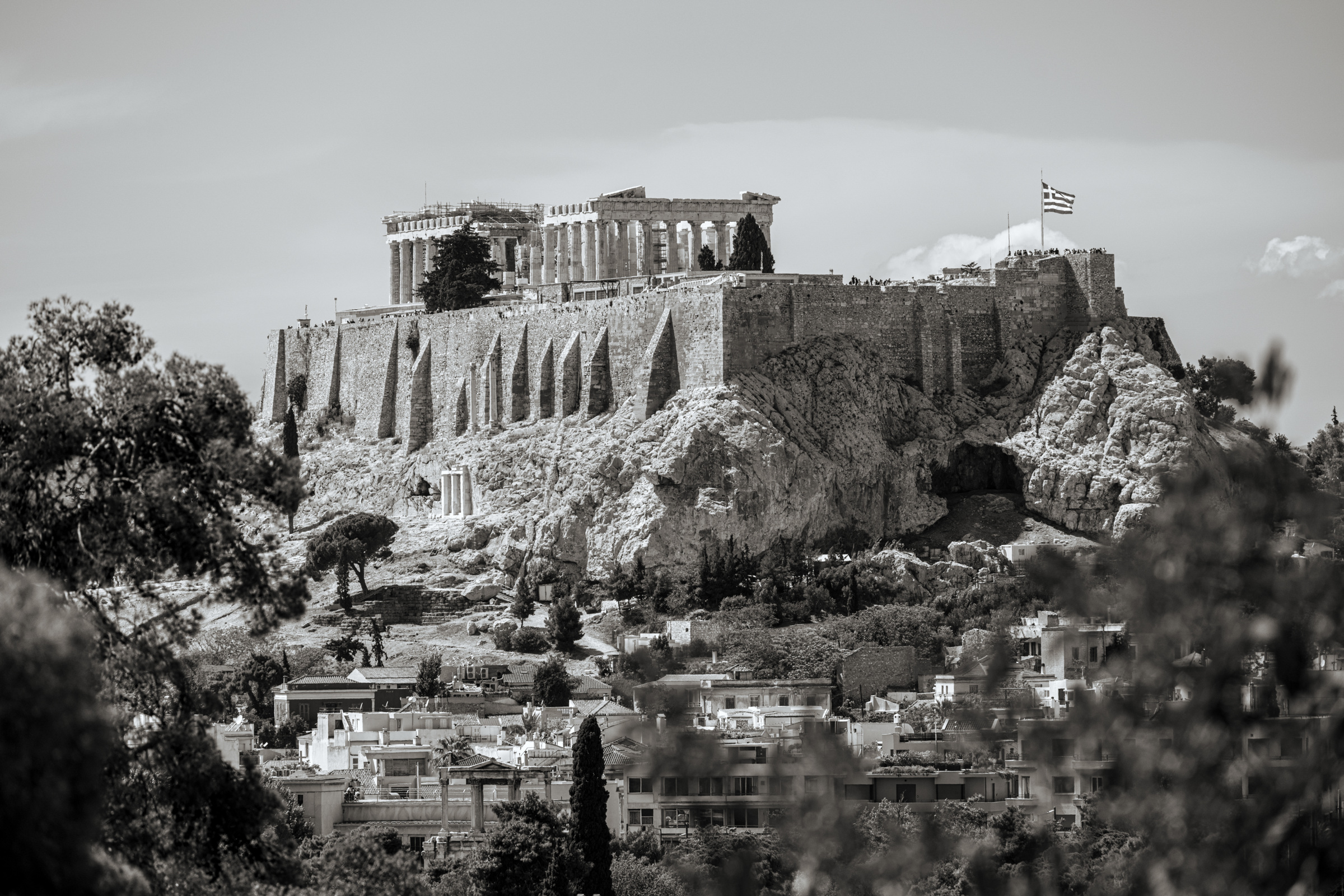 The Acropolis and Parthenon seen through foreground trees, Athens, 2024